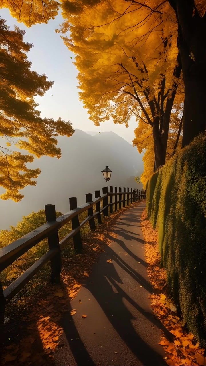 我从春天走来,你在秋天说要分开!#治愈系风景 #风景 #意境