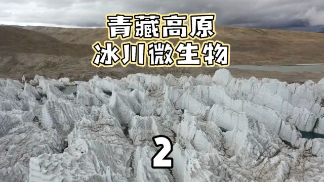 冰川融化揭示宝藏:2500万个微生物基因待解密