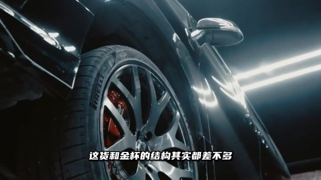 专坑国人的十款“伪豪车”333