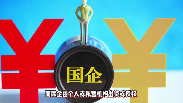 国企与民企的区别