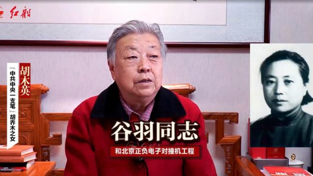 胡乔木之女胡木英:母亲与北京正负电子对撞机工程