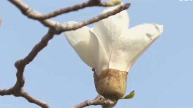 推动协同治理,联合治理,实现“有人管,能管好”的目标