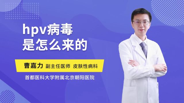 hpv病毒是怎么来的