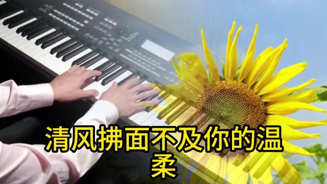 一生相伴有你