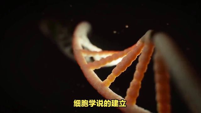 细胞学说颠覆生命观念,开启生物学新纪元