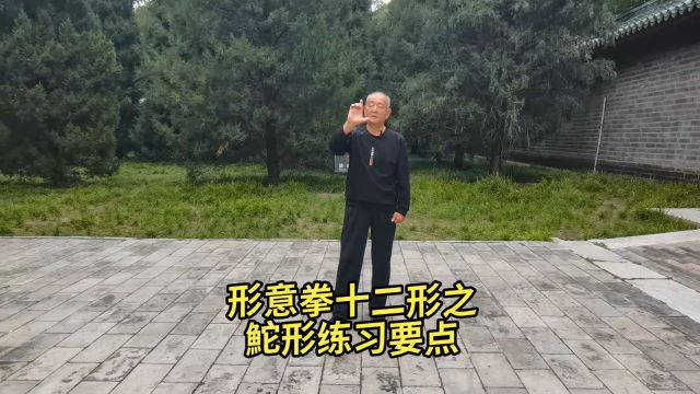 形意拳十二形之鮀形练习要点:形意拳张发智之功夫(72)