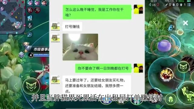 胖猫事件迎来最终结果,女主即将面临制裁