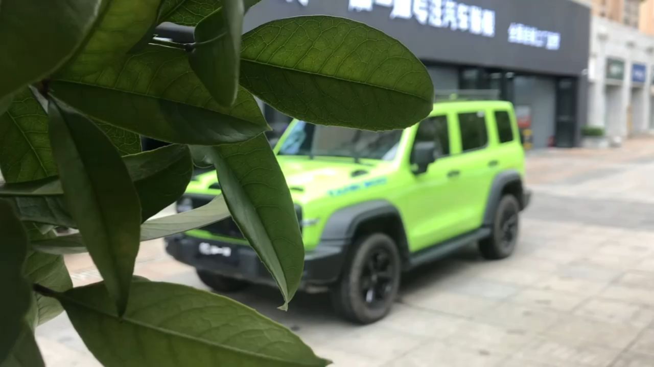 长城坦克300臻选膜一姐改色膜水晶苹果绿,明朗清爽