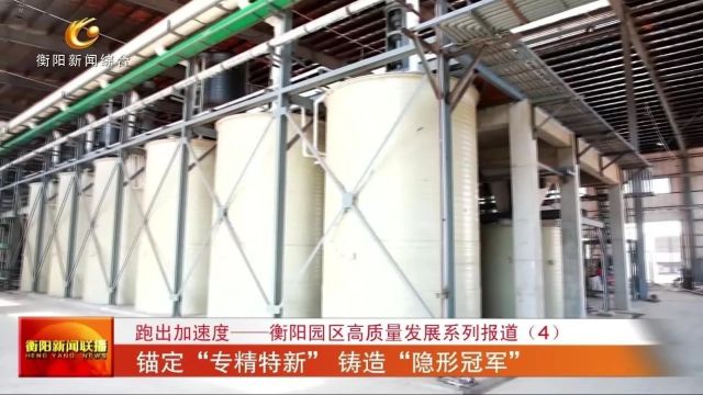 跑出加速度——衡阳园区高质量发展系列报道(4) 锚定“专精特新” 铸造“隐形冠军”