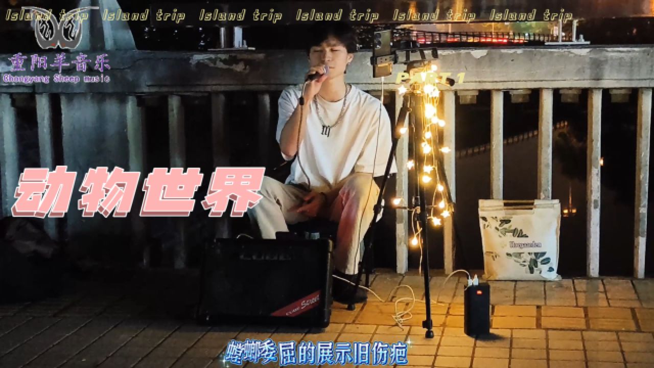 一曲薛之谦《动物世界》 合肥夜市歌手