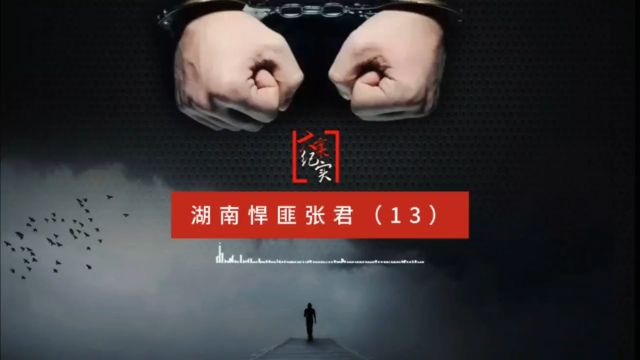 第13集 | 湖南悍匪张君案