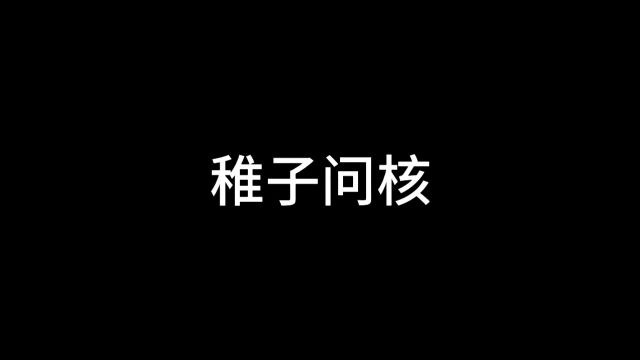 稚子问核,借问核舟何所去,稚子遥指樱花村.