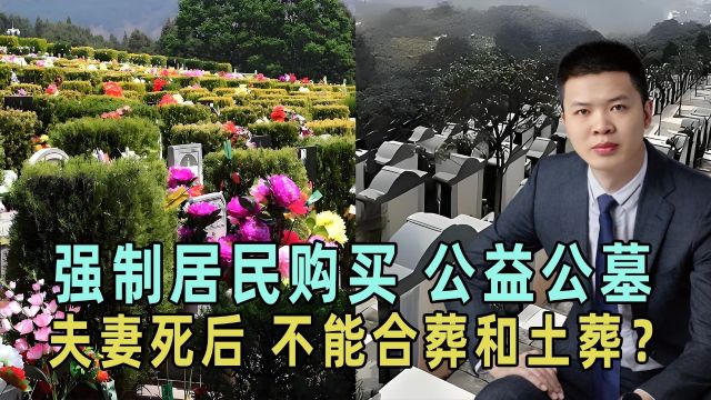 湖北随州投资2.7亿建公益公墓,强制居民购买,夫妻还不能合葬?