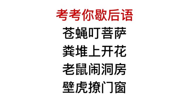 考考你歇后语,看书闹洞房,比喻的是什么意思?