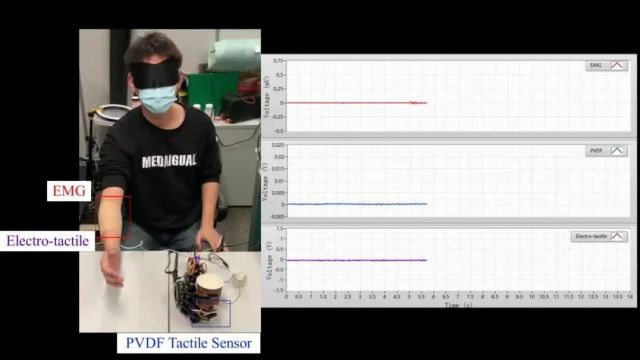 港科大杨征保教授/港城大姚希教授CEJ:超舒适液态金属电子纹身