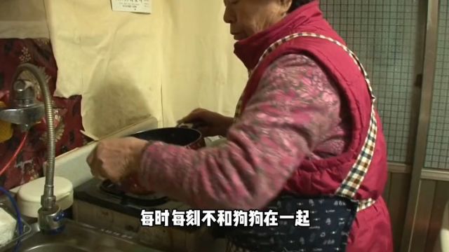 长不大的狗狗却是身患绝症4#动物#宠物