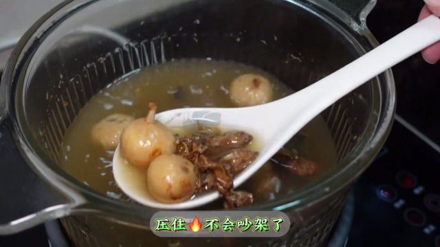 熬夜热气!蝉花桑黄水!不放肉也很好喝