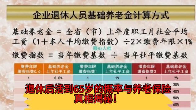 退休后活到65岁的概率与养老保险真相揭秘