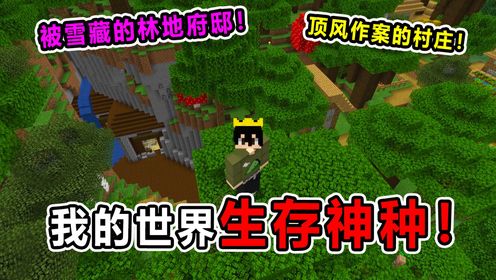 我的世界：三个生存建筑神种！深埋地下的府邸竟和村庄刷在了一起？_高清1080P在线观看平台_腾讯视频