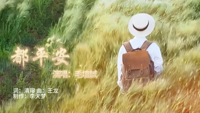 《都平安》演唱:毛埴铖(埴铖) 词:清瑢 曲:王龙 制作:李天梦