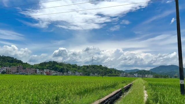 在田野上吹着微风有一种清凉舒适感