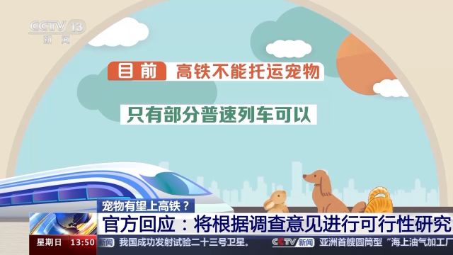 宠物也能乘高铁了?支持or反对 看看大家啥态度