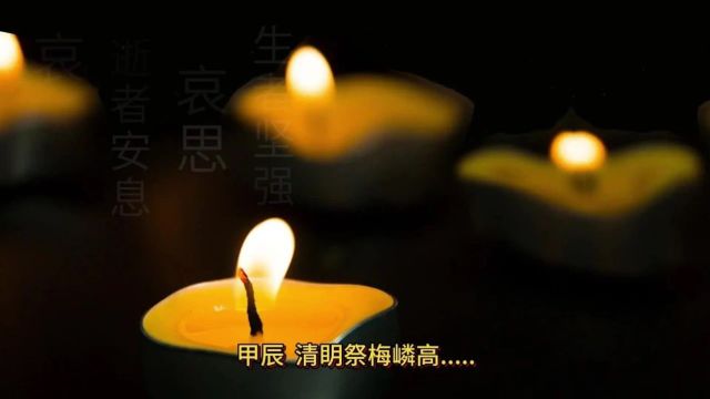 【梅园翰墨】甲辰清眀祭梅嶙高文