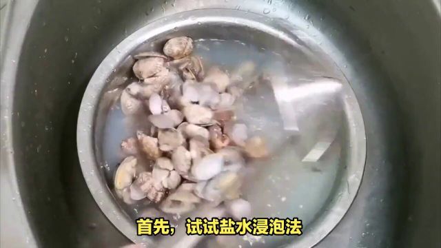 花甲怎样吐沙子吐得干净?如何彻底吐沙子,让你吃得更放心!