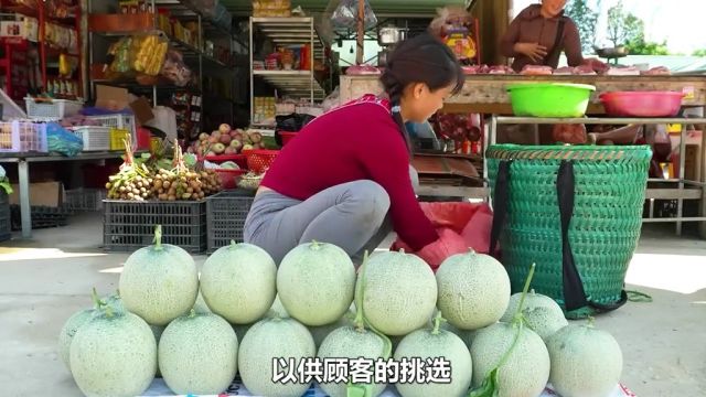 小婷的荒野生活:采摘哈密瓜,用花生和玉米制作焦米棍来送给小朋友