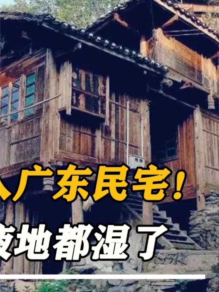 抓蛇人徒手上阵#眼镜王蛇#私闯民宅#抓蛇