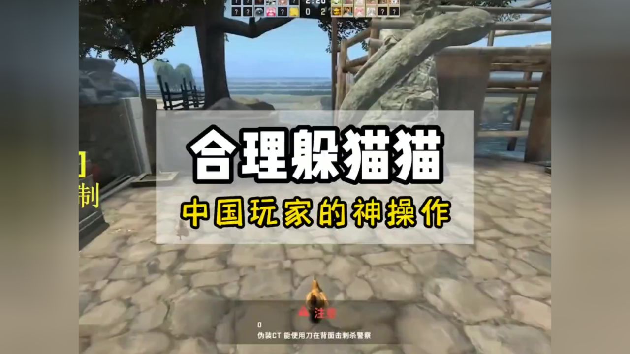 奇葩的csgo躲猫猫(1)