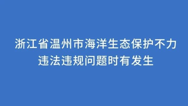 典型案例 | 浙江省温州市海洋生态保护不力 违法违规问题时有发生