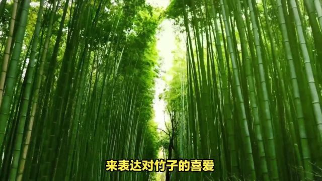 离西安市区只有20多公里的宝藏目的地,在白鹿湖畔漫步天然竹海