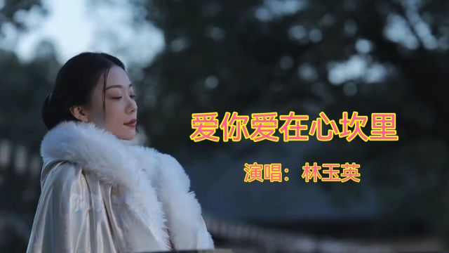 经典金曲《爱你爱在心坎里》,歌声甜美,经典回味