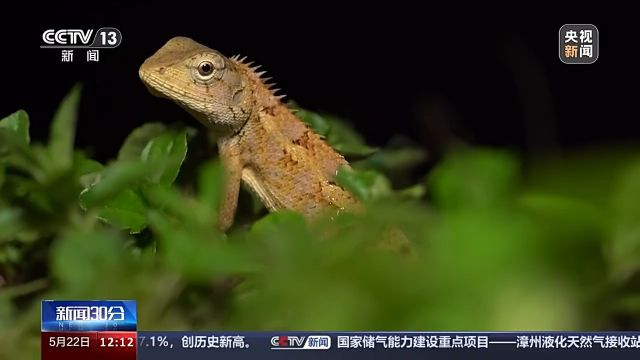 如何推动生物多样性保护?生态环境部画重点