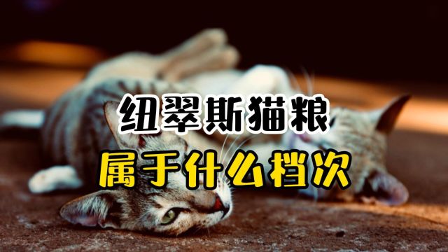 纽翠斯猫粮属于什么档次?