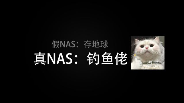 【榨菜杂谈】给老炮一台NAS 他能玩转地球 一位NAS玩家的真实自白