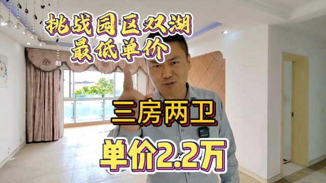 橄榄湾挑战园区双湖板块最低单价2.2万,三房两卫不服来战!#苏州房产 #高性价比好房 #苏州二手房