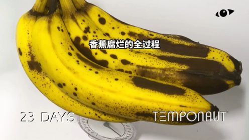 把香蕉暴露在空气中115天，会发生什么变化？