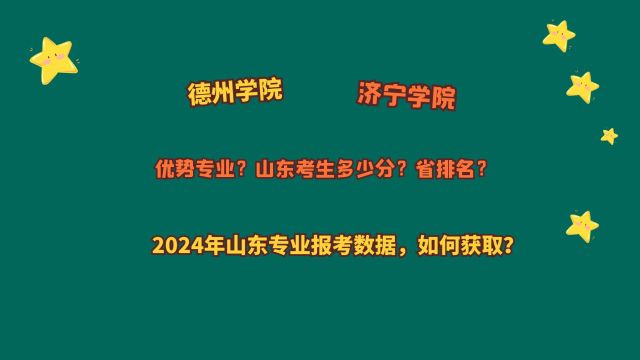 德州学院、济宁学院,山东考生多少分?2024山东专业报考数据