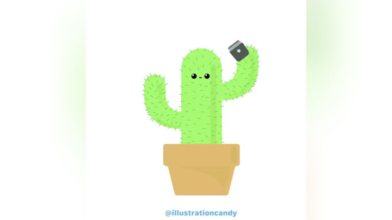 搞笑的仙人掌
