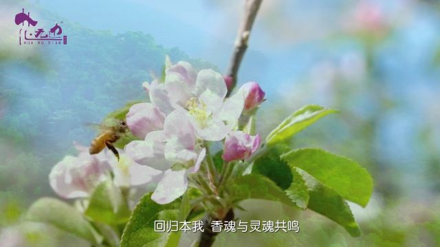 东方木质香调ⷮŠ香水油 | 沉稳醇厚又充满自信阳刚之气