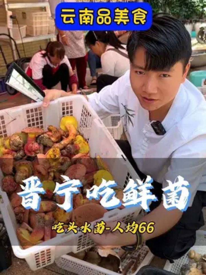 来云南吃菌子火锅吧-山上才采回来的#菌子的季节 #云南人吃菌子的季节