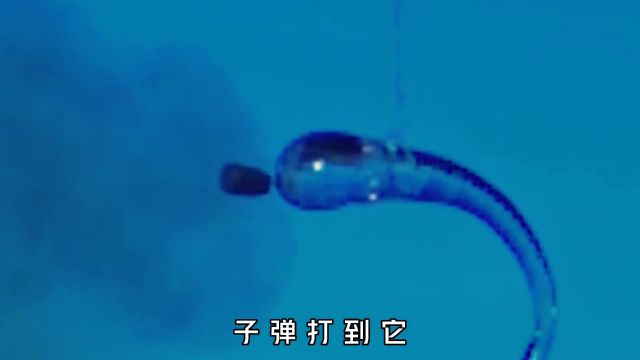 鲁伯特之泪有多恐怖?子弹撞到它,瞬间化为碎片.而它却象征爱情 #鲁伯特之泪 #知识创作人 #科普一下