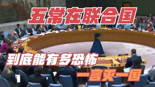 五常的实力到底有多夸张，闭门开个小会，就能灭一国#那兔#科普#军迷_高清1080P在线观看平台_腾讯视频