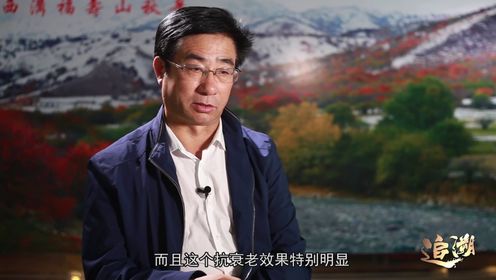 央视专访 樱桃李产业化视频