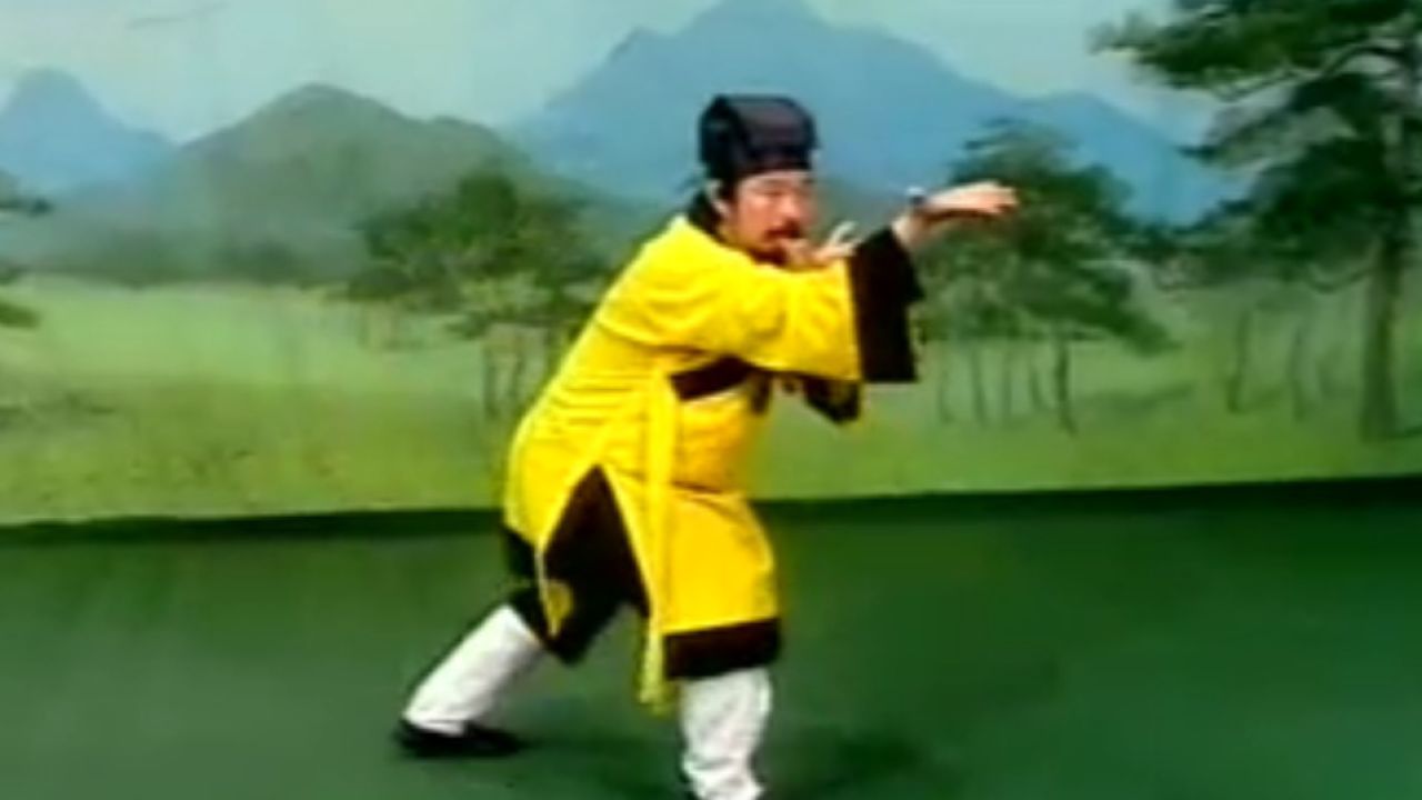 武当太乙逍遥掌分解教学