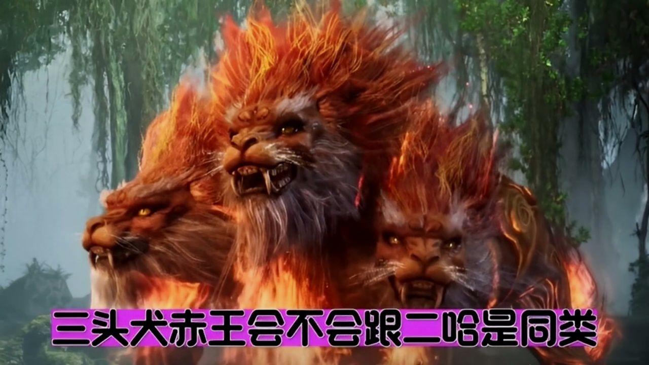 三头犬赤王会不会跟二哈同类