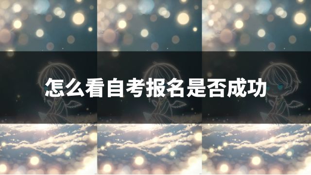 怎么看自考报名是否成功,这三种方法一定要会