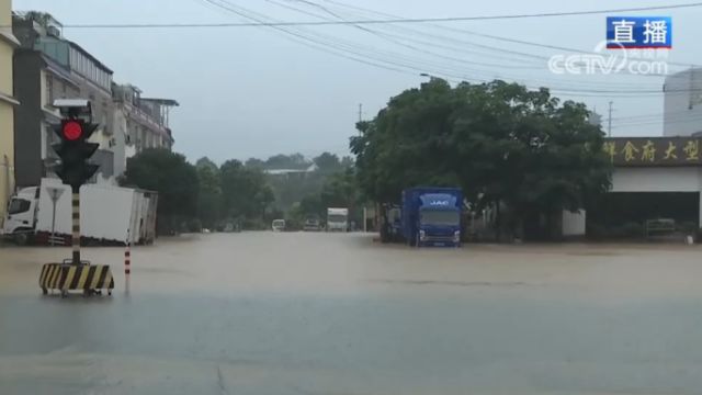 广西钟山发布暴雨红色预警,道路积水严重,相关部门积极应对